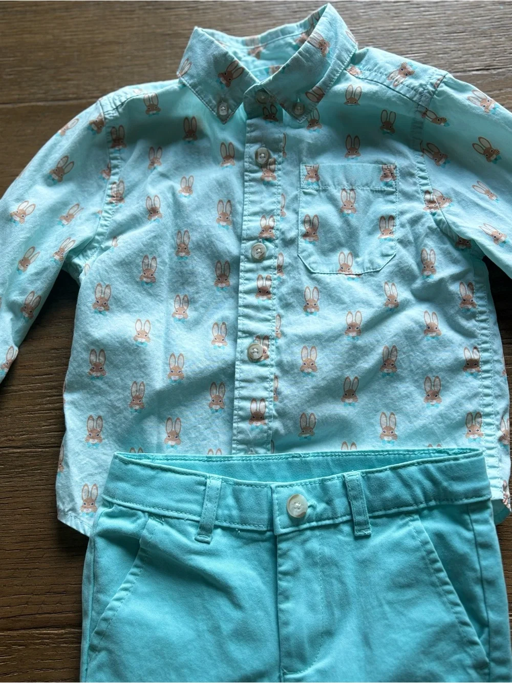 Gymboree Mint Green Bunny Print Button-Up Shirt and Chino Pants